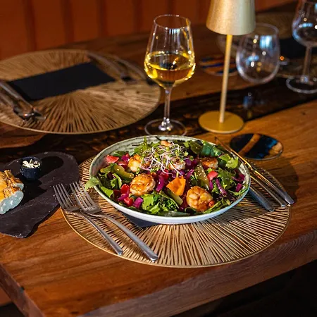 Het Maashotel מלון 4*