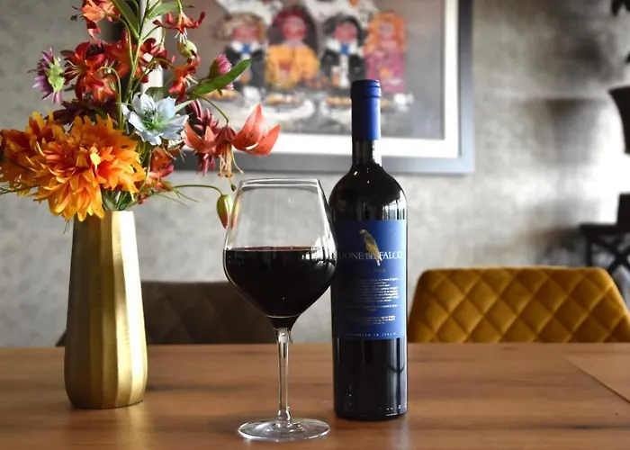 Hotel Het Maashotel Broekhuizen (Limburg)