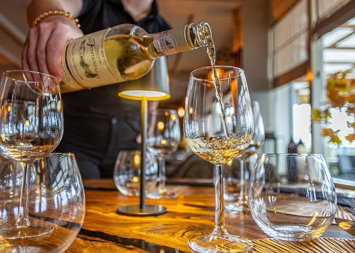 Het Maashotel Hotel Broekhuizen (Limburg)