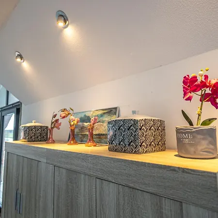 Het Maashotel ホテル Broekhuizen