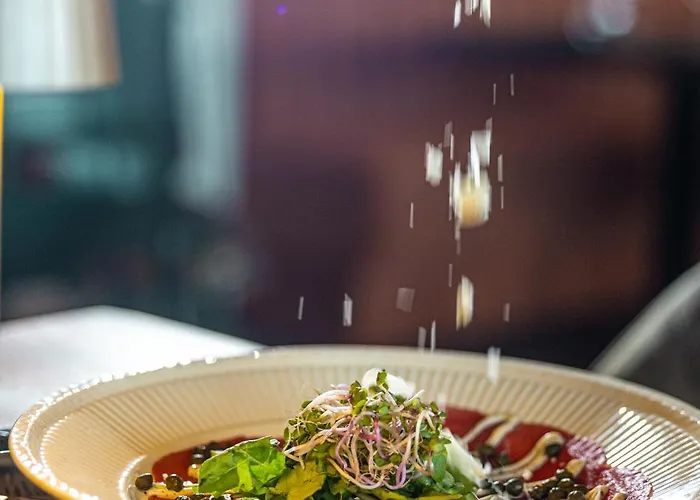 Het Maashotel Отель 4*