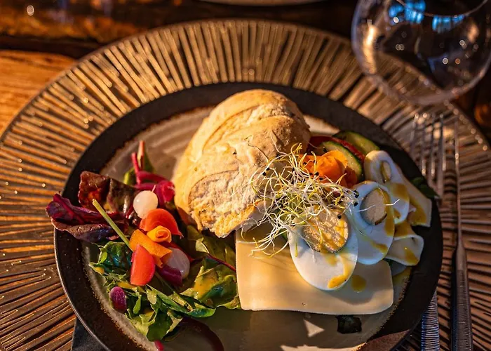 Het Maashotel Отель 4*